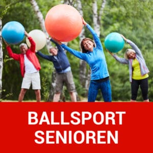 img vfl stenum beitragsbild ballsport senioren