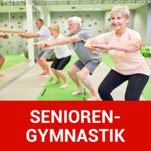 img vfl stenum beitragsbild seniorengymnastik