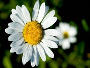 schnupperkurs me time